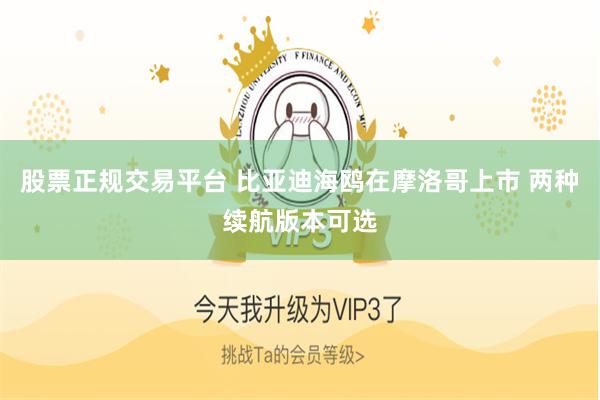 股票正规交易平台 比亚迪海鸥在摩洛哥上市 两种续航版本可选
