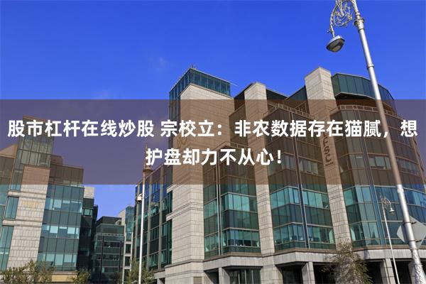股市杠杆在线炒股 宗校立：非农数据存在猫腻，想护盘却力不从心！