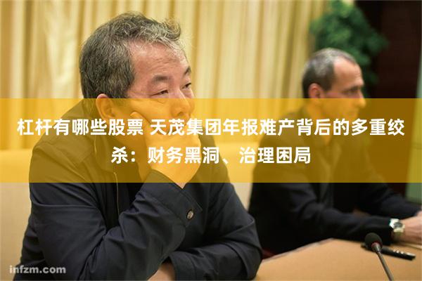杠杆有哪些股票 天茂集团年报难产背后的多重绞杀：财务黑洞、治理困局