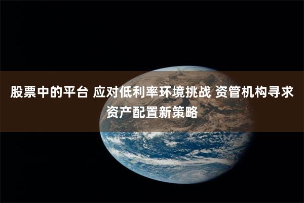 股票中的平台 应对低利率环境挑战 资管机构寻求资产配置新策略