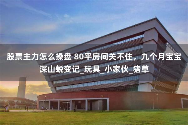 股票主力怎么操盘 80平房间关不住，九个月宝宝深山蜕变记_玩具_小家伙_猪草