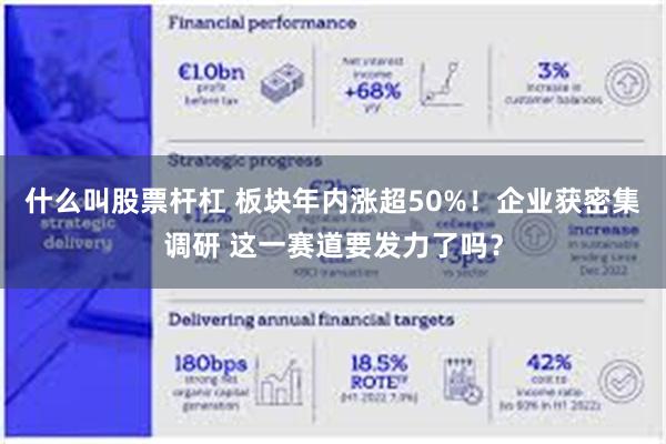 什么叫股票杆杠 板块年内涨超50%！企业获密集调研 这一赛道要发力了吗？