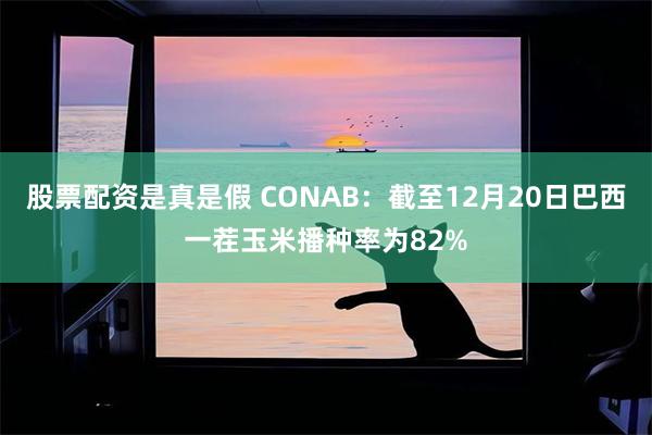 股票配资是真是假 CONAB：截至12月20日巴西一茬玉米播种率为82%